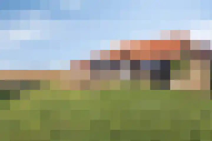 Zandvaart 153 Breezand thumbnail 51
