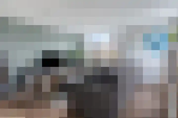 Zandvaart 153 Breezand thumbnail 9