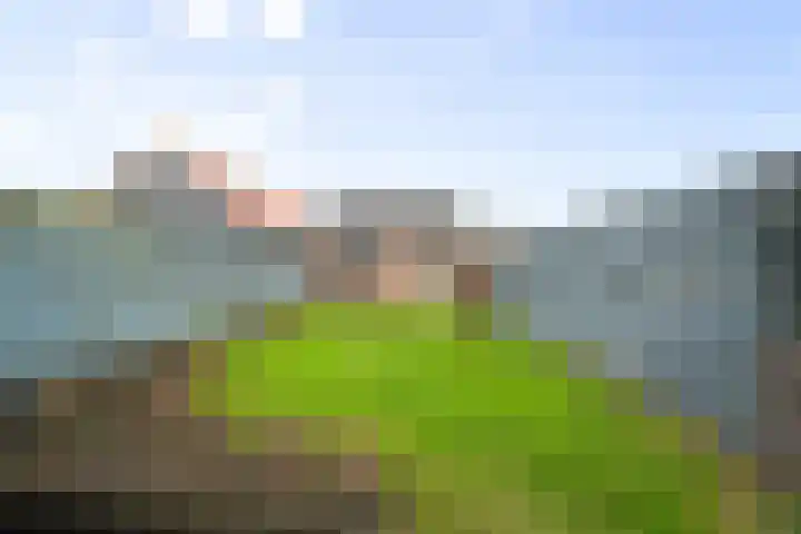 Zandvaart 155 Breezand thumbnail 17