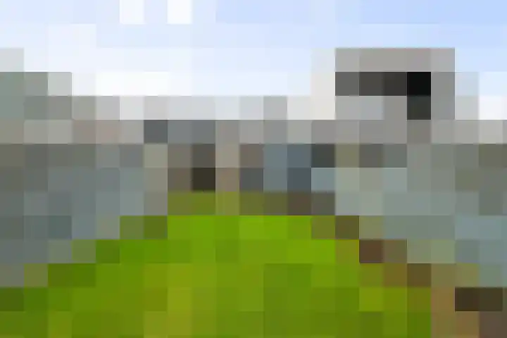 Zandvaart 155 Breezand thumbnail 21