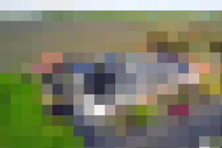 Zandvaart 155 Breezand thumbnail 23
