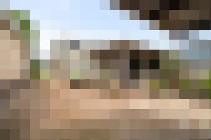 Zandvaart 162 Breezand thumbnail 32