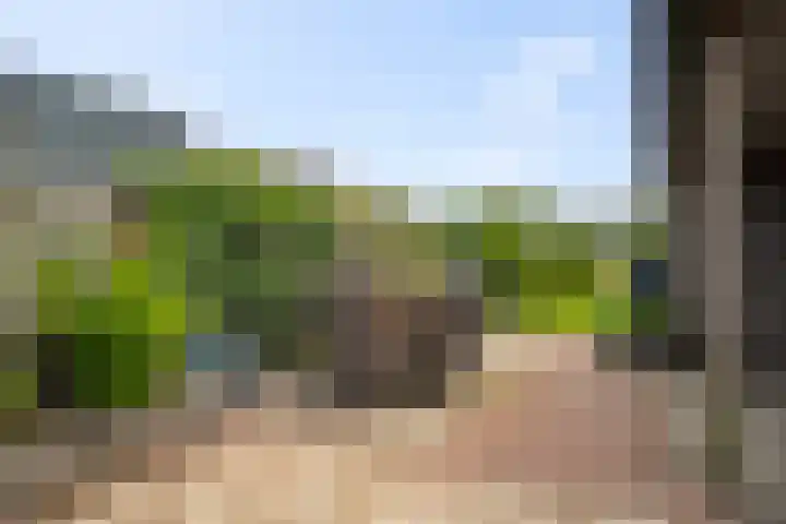 Zandvaart 162 Breezand thumbnail 33