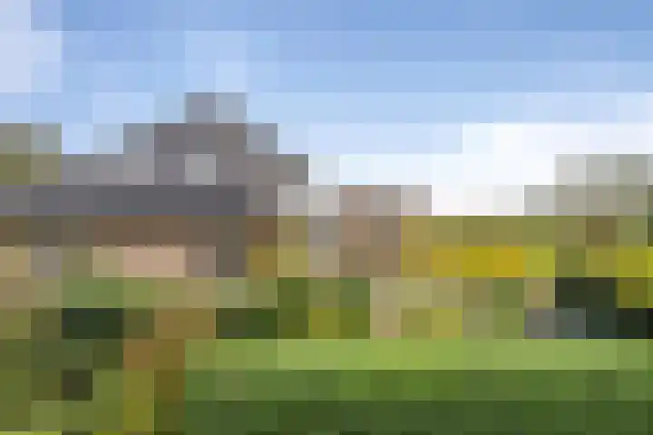Zandvaart 184 b Breezand thumbnail 29