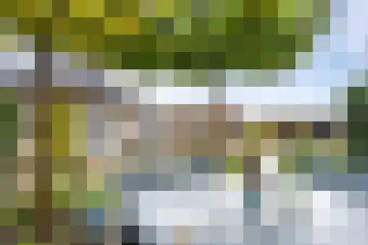 Zandvaart 184 b Breezand thumbnail 30