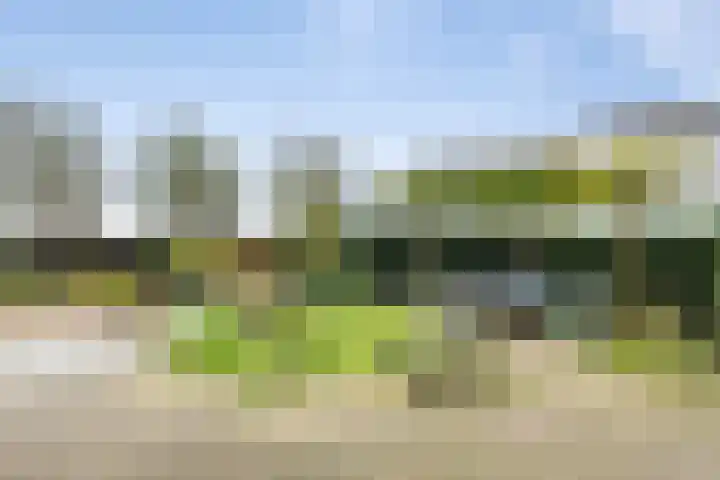 Zandvaart 184 b Breezand thumbnail 33