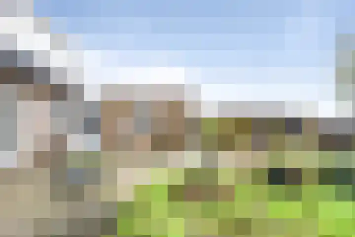 Zandvaart 184 b Breezand thumbnail 34