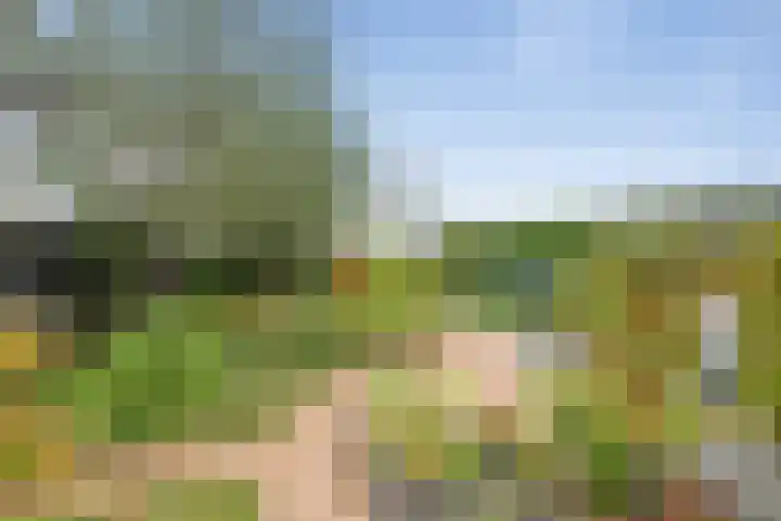 Zandvaart 184 b Breezand thumbnail 35