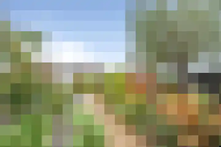 Zandvaart 184 b Breezand thumbnail 36
