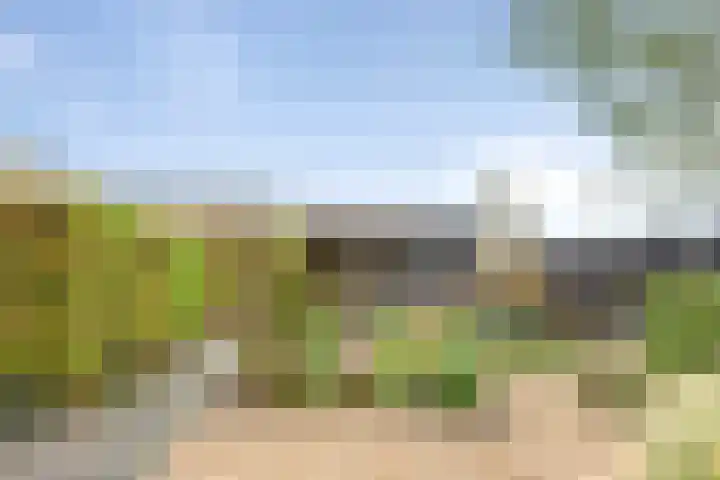 Zandvaart 184 b Breezand thumbnail 37