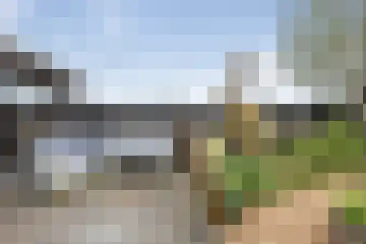 Zandvaart 184 b Breezand thumbnail 45