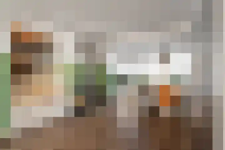 Zandvaart 77 Breezand thumbnail 14