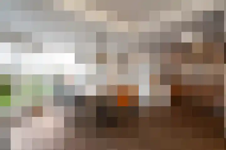 Zandvaart 77 Breezand thumbnail 16