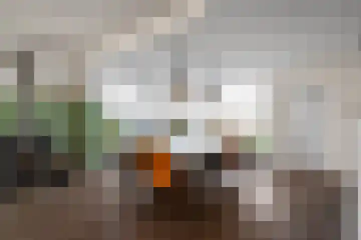 Zandvaart 77 Breezand thumbnail 18