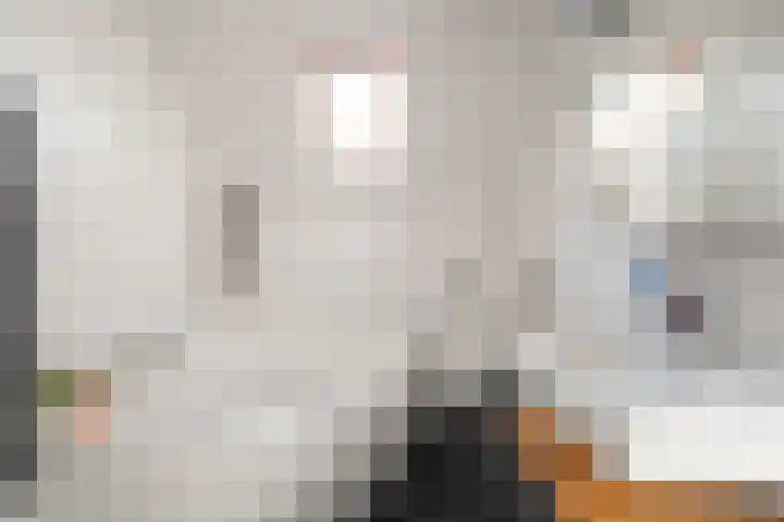 Zandvaart 77 Breezand thumbnail 34