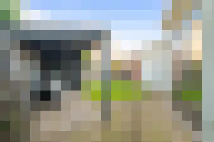 Zandvaart 77 Breezand thumbnail 39