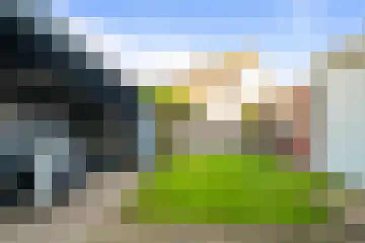 Zandvaart 77 Breezand thumbnail 41