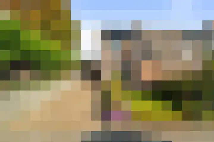 Zandvaart 77 Breezand thumbnail 44