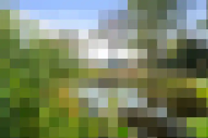 Zandvaart 77 Breezand thumbnail 46