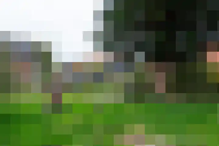 Zandvaart 80 b Breezand thumbnail 26