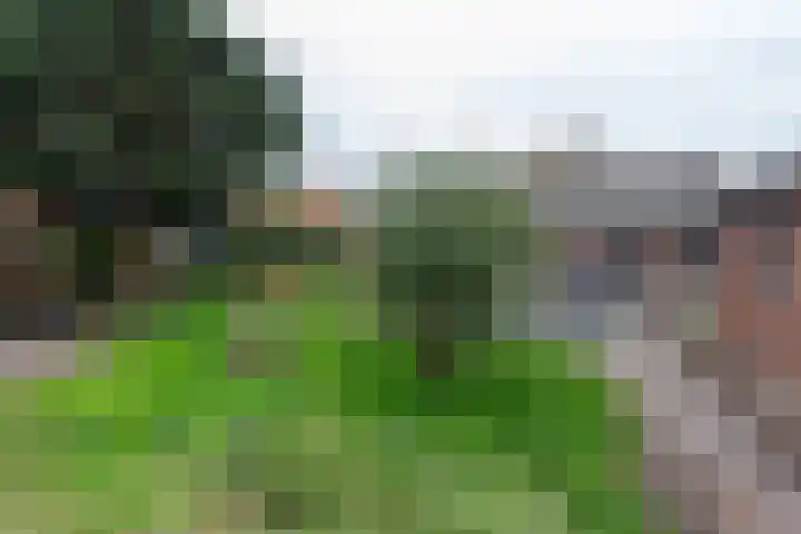 Zandvaart 80 b Breezand thumbnail 27
