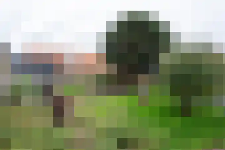 Zandvaart 80 b Breezand thumbnail 28