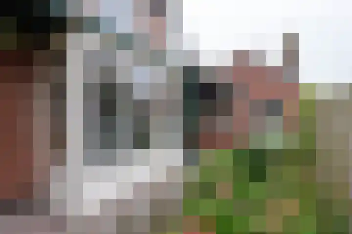 Zandvaart 80 b Breezand thumbnail 31