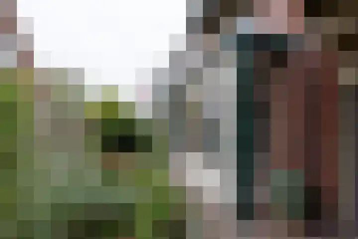 Zandvaart 80 b Breezand thumbnail 32