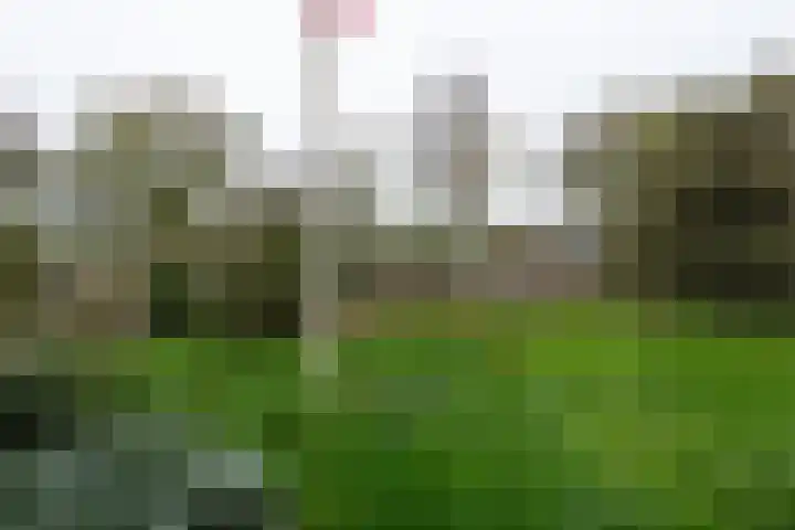 Zandvaart 80 b Breezand thumbnail 33