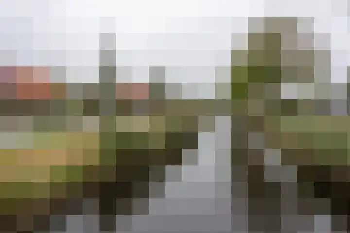 Zandvaart 80 b Breezand thumbnail 35