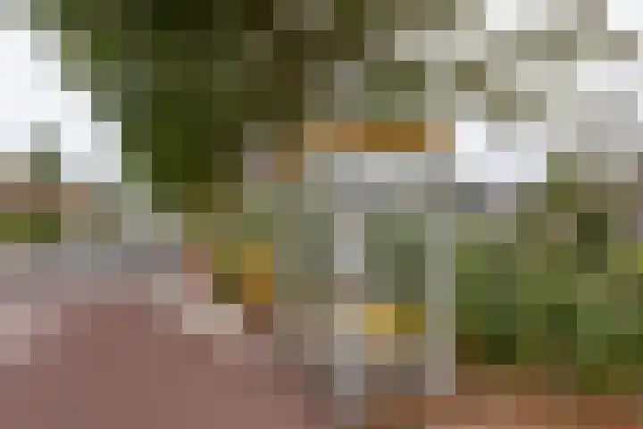 Zandvaart 80 b Breezand thumbnail 37