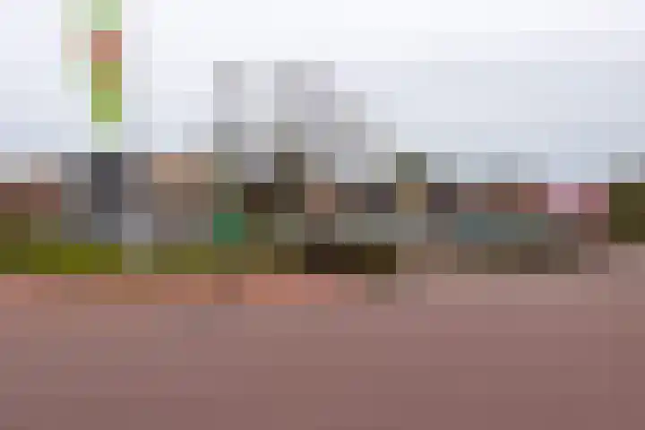 Zandvaart 80 b Breezand thumbnail 38
