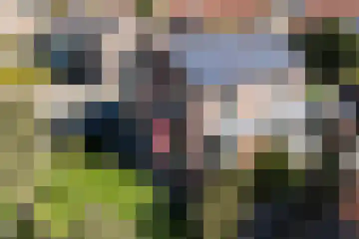 Zandvaart 80 b Breezand thumbnail 43
