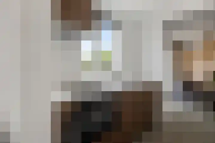 Zandvaart 94 Breezand thumbnail 13