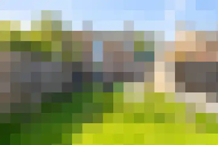 Zandvaart 94 Breezand thumbnail 33