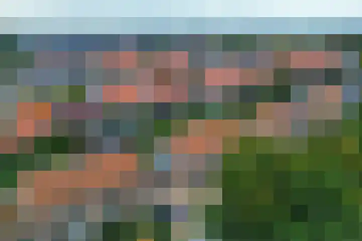 Zandvaart 94 Breezand thumbnail 41