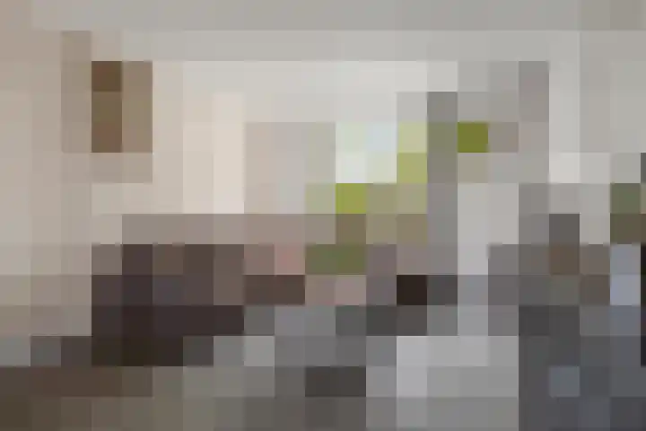 Zandvaart 94 Breezand thumbnail 6