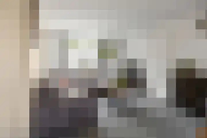 Zandvaart 94 Breezand thumbnail 7