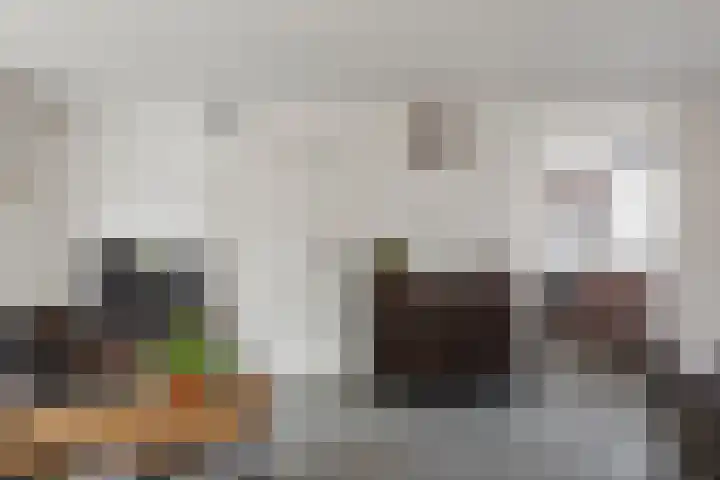 Zandvaart 94 Breezand thumbnail 8