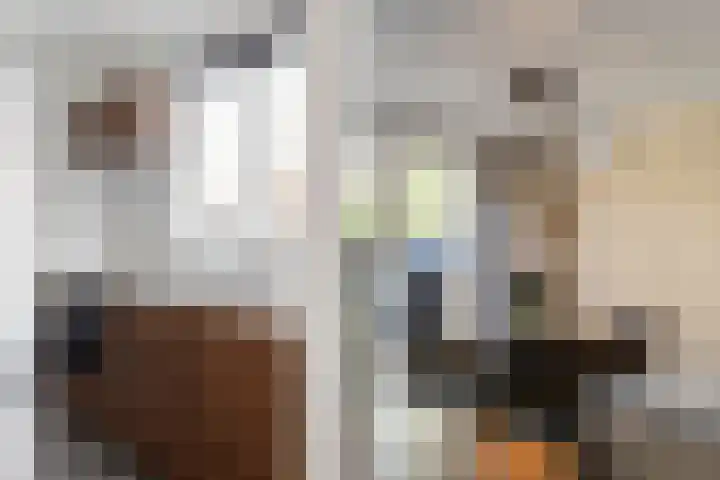 Zandvaart 94 Breezand thumbnail 9