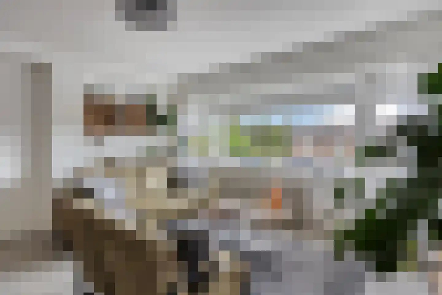 Zandveldstraat 4 's-Hertogenbosch thumbnail 11