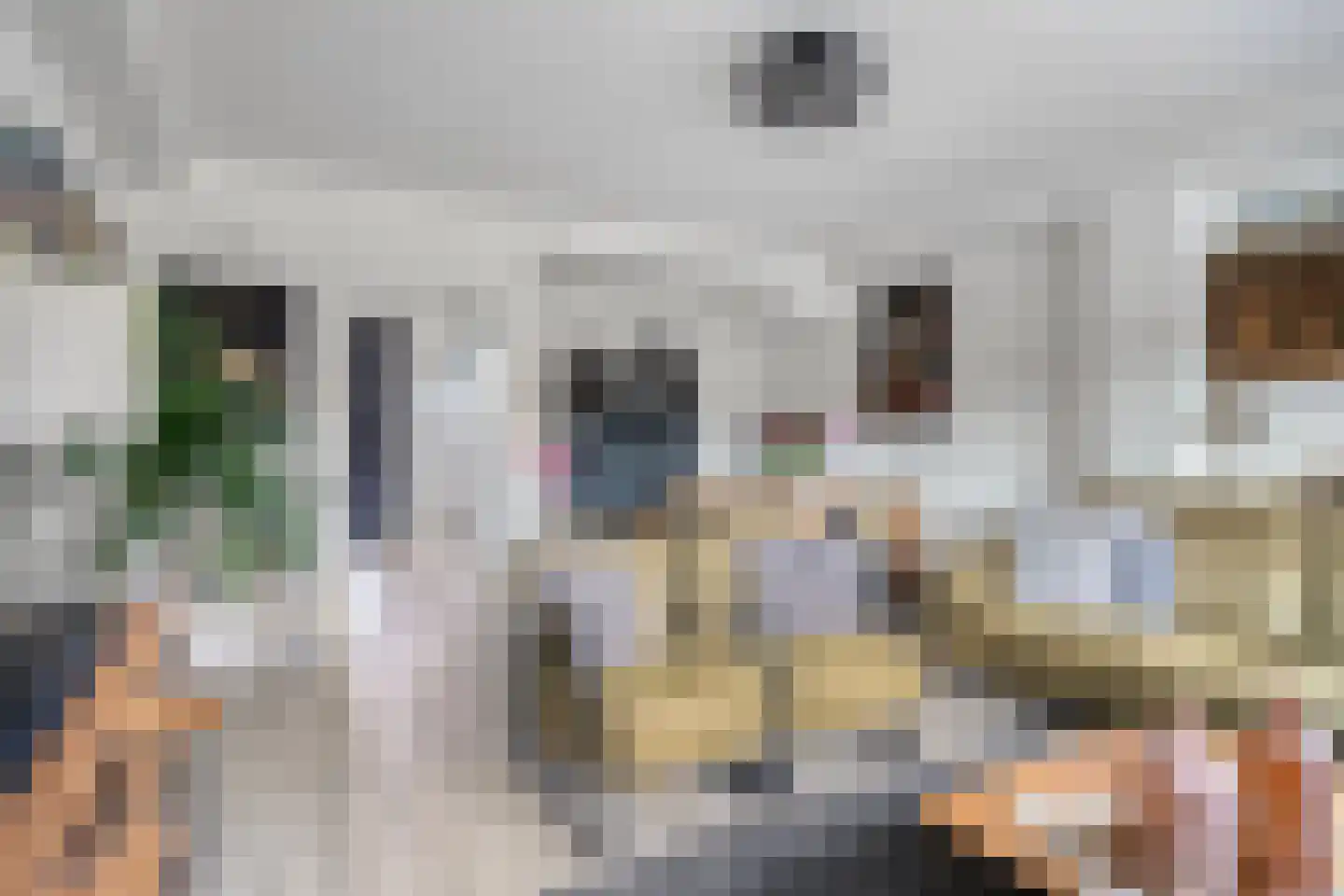 Zandveldstraat 4 's-Hertogenbosch thumbnail 13
