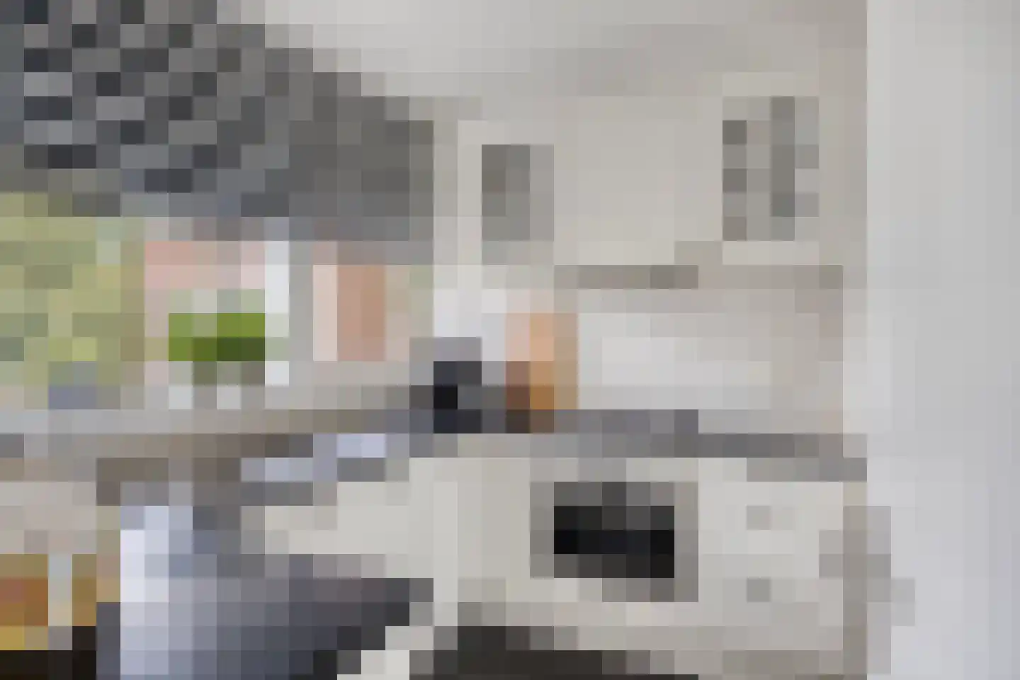 Zandveldstraat 4 's-Hertogenbosch thumbnail 19