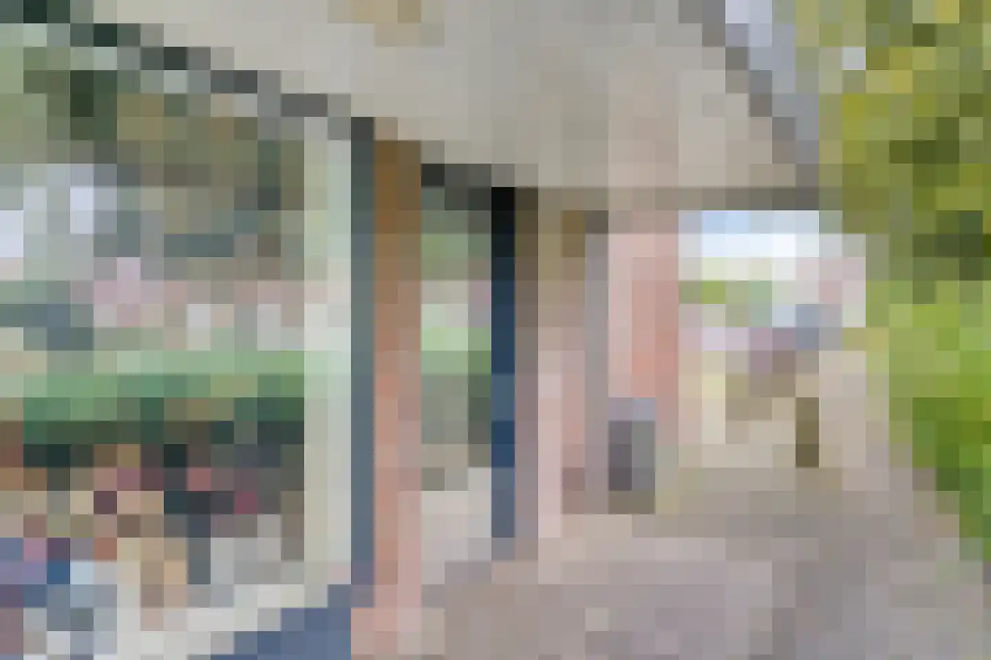 Zandveldstraat 4 's-Hertogenbosch thumbnail 34