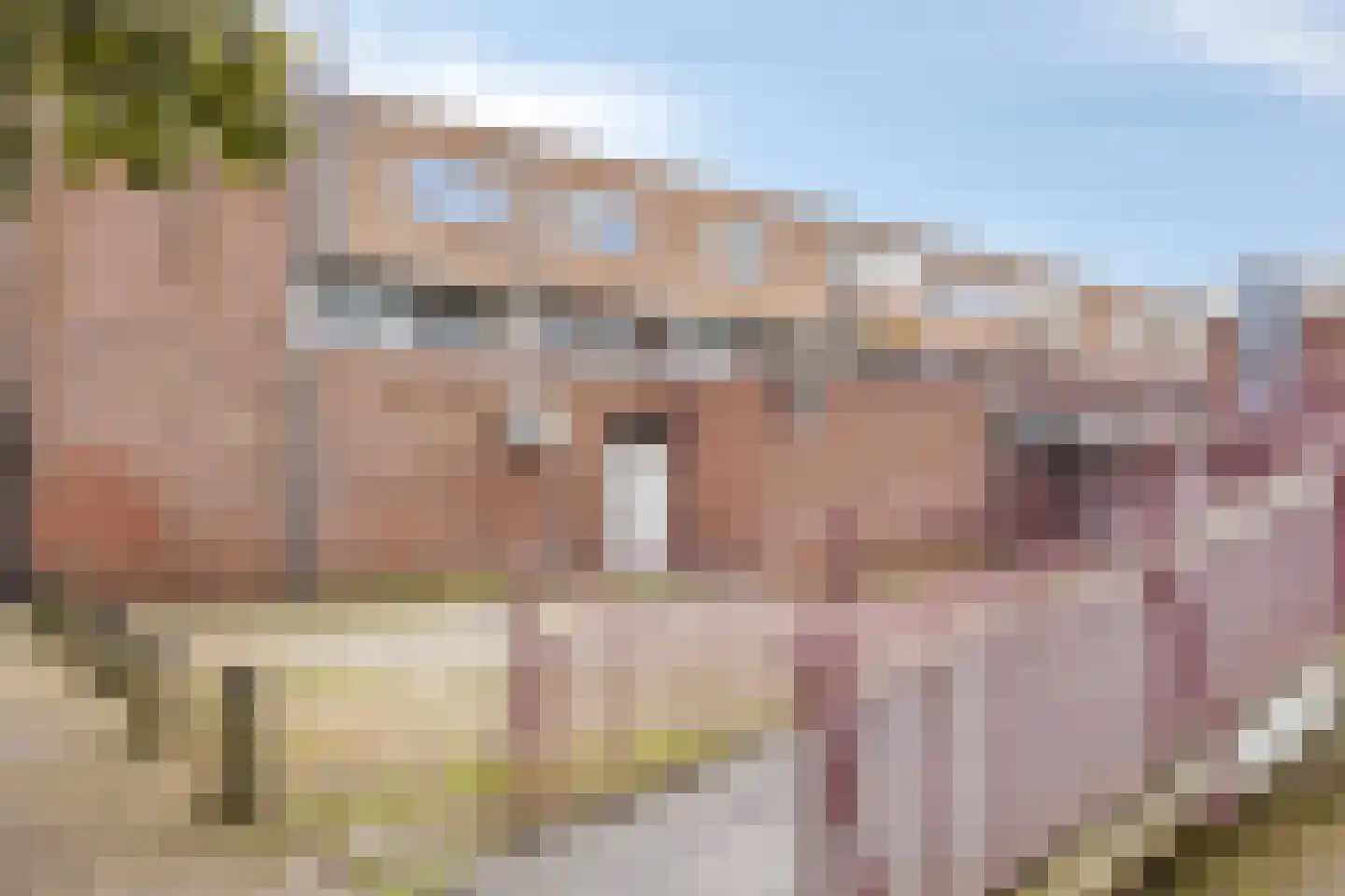 Zandveldstraat 4 's-Hertogenbosch thumbnail 37