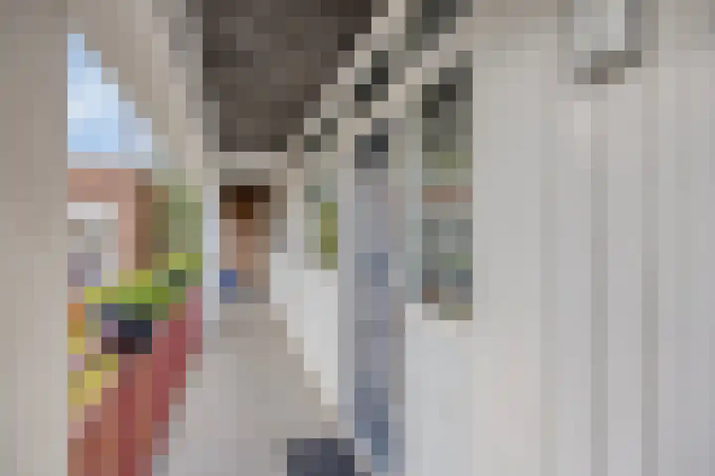 Zandveldstraat 4 's-Hertogenbosch thumbnail 5