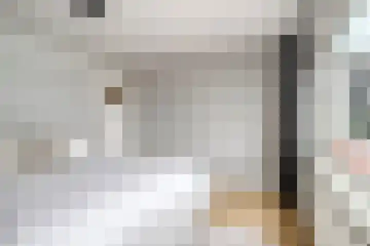 Zandveldstraat 42 's-Hertogenbosch thumbnail 13
