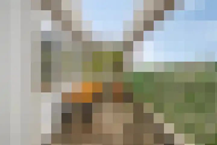Zandveldstraat 42 's-Hertogenbosch thumbnail 16