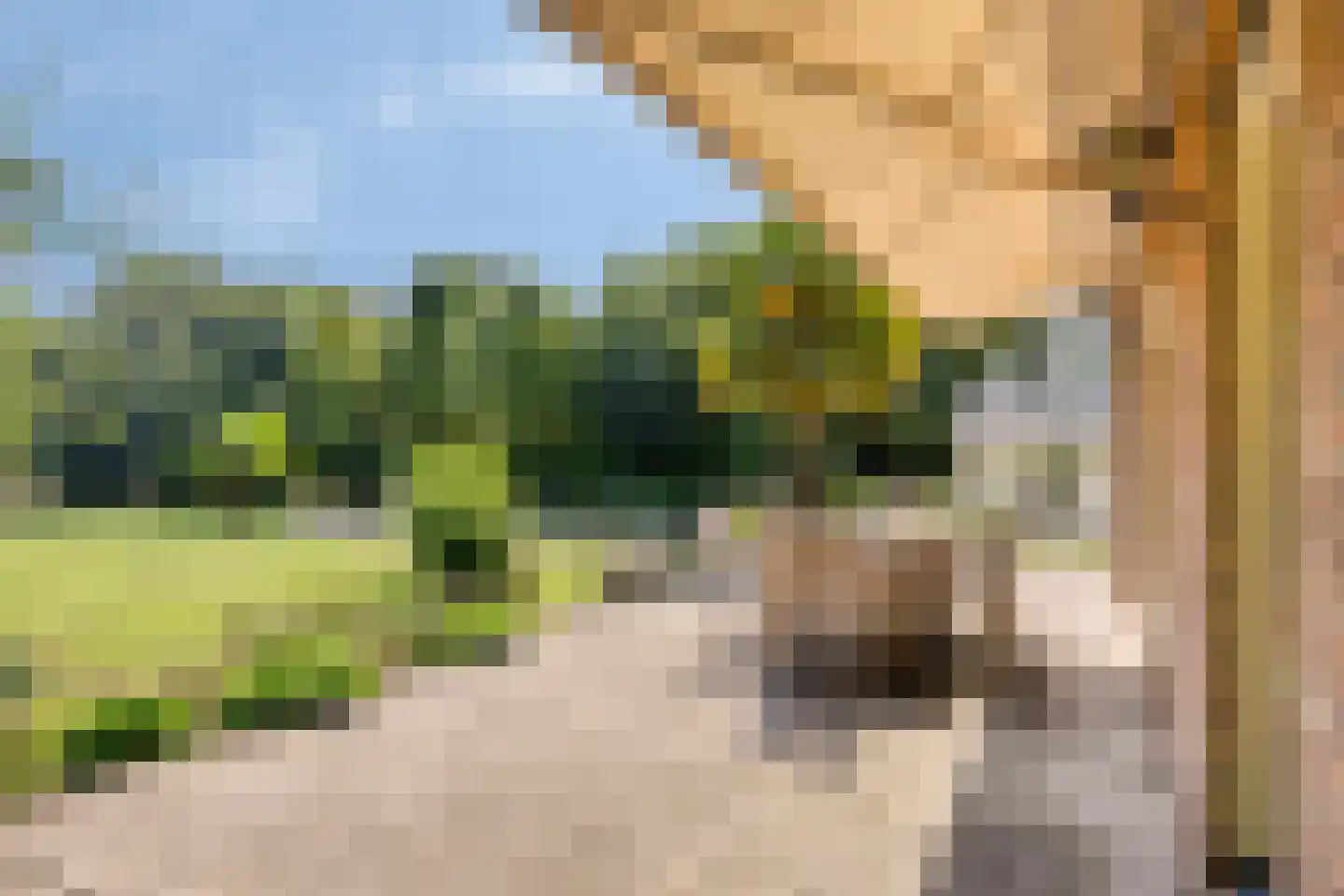 Zandven 2 Bergen op Zoom thumbnail 37