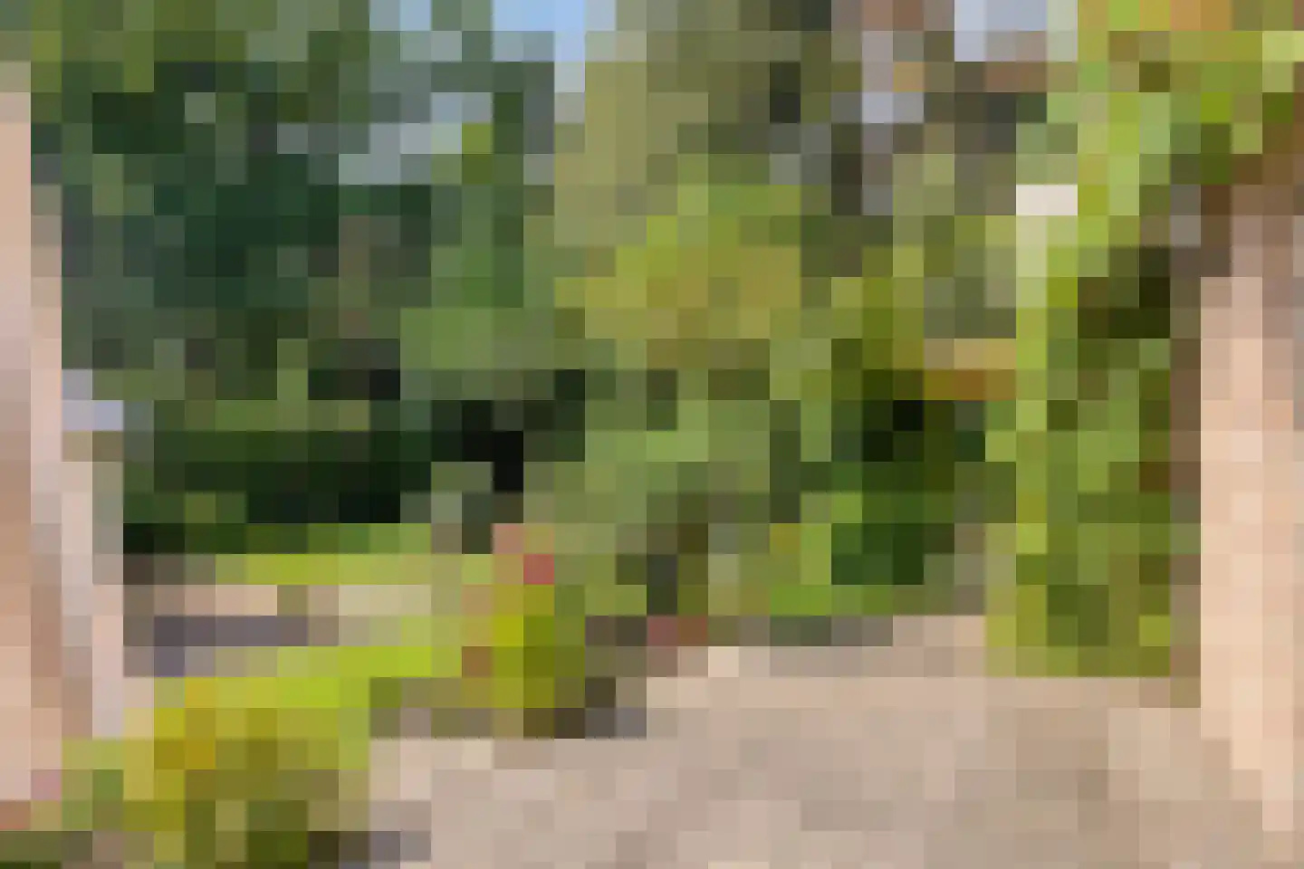 Zandven 2 Bergen op Zoom thumbnail 38
